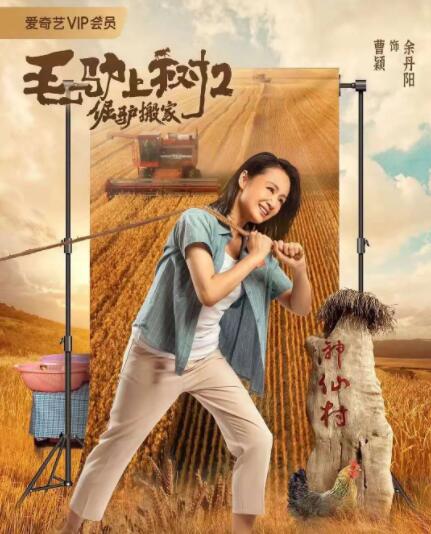 高清蓝光在线观看
