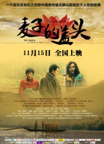 手机免费播放