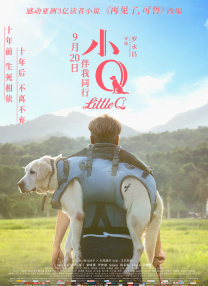 中文字幕在线手机播放